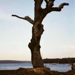 Flash Fujica Compact Film Camera With User Manual 25 Flash Fujica Compact Film Camera With User Manual -Camera Store 000030610019 18 scaled