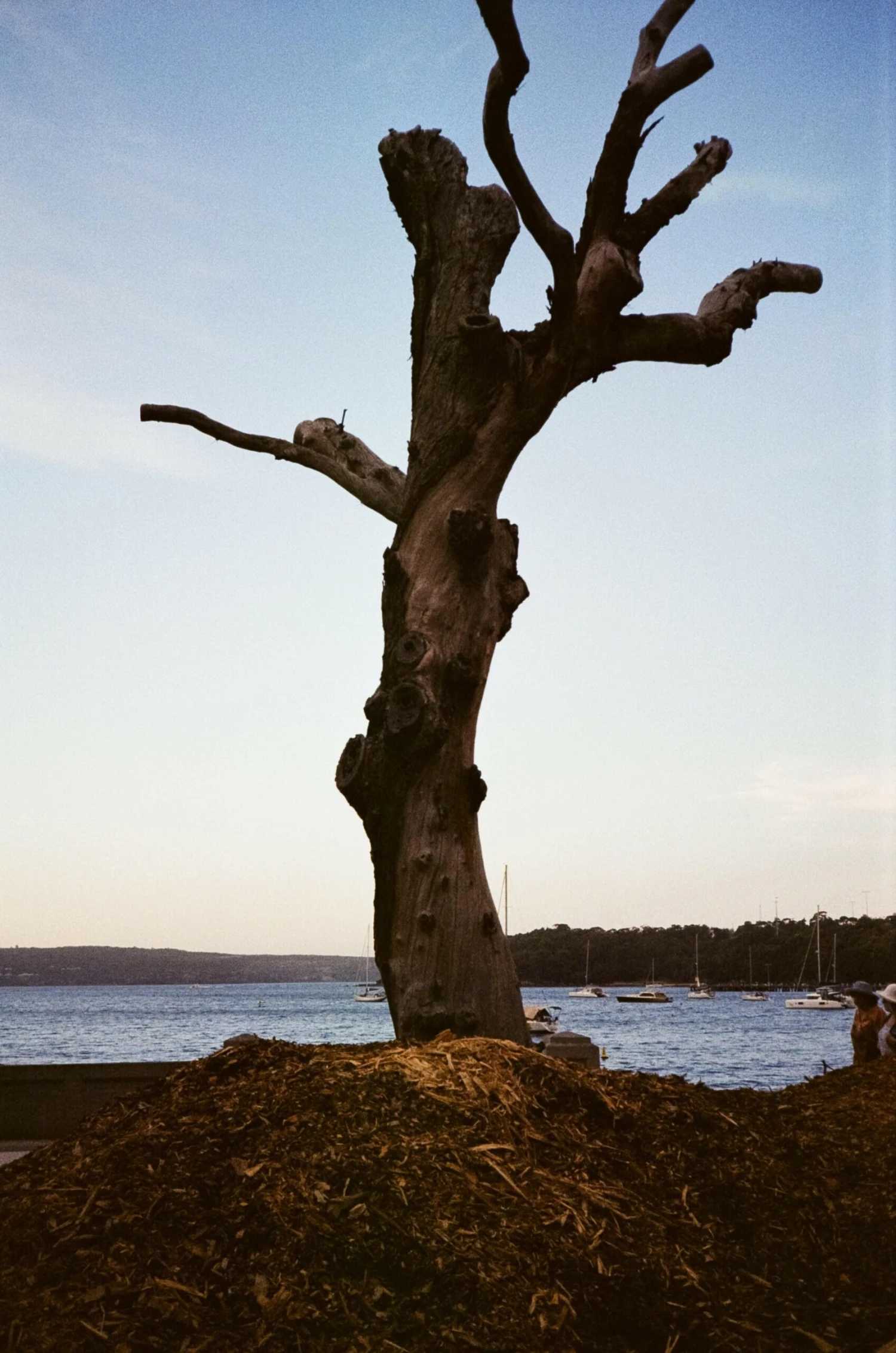 Flash Fujica Compact Film Camera With User Manual 13 Flash Fujica Compact Film Camera With User Manual - Image 11