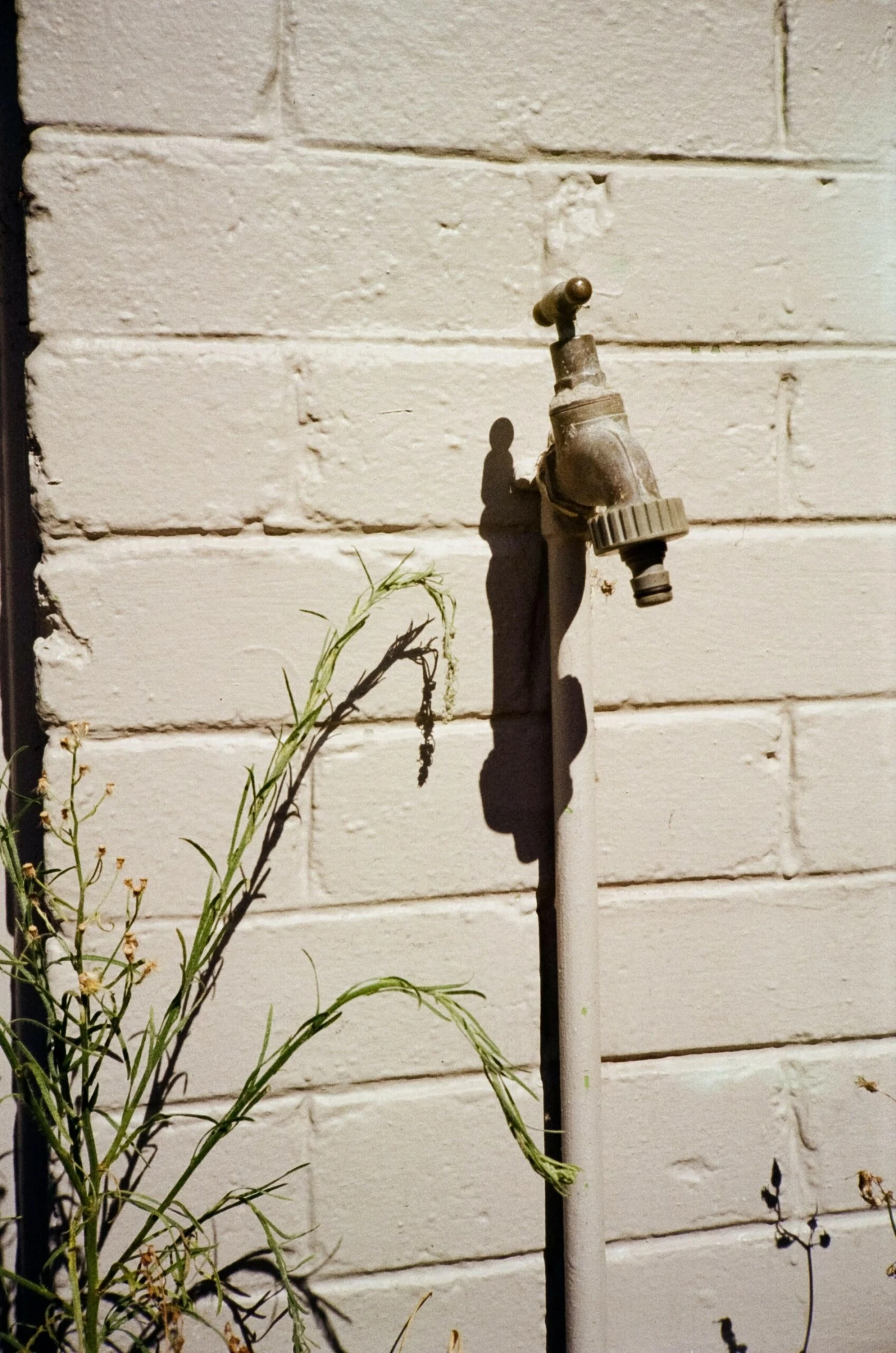 Flash Fujica Compact Film Camera With User Manual 14 Flash Fujica Compact Film Camera With User Manual - Image 12