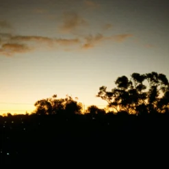 Olympus PEN EED Half-frame Camera -Camera Store 000030640013 9A scaled