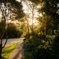 Canon Datelux A35 Film Camera Gift Set -Camera Store 000063560005 4 scaled