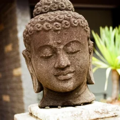 Canon FTb SLR Film Camera -Camera Store 000111330003 23A scaled