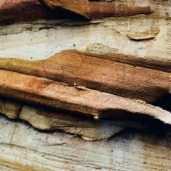 Canon FTb SLR Film Camera -Camera Store 000111330004 24A scaled