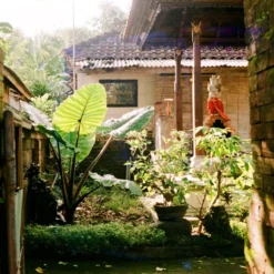 Canonet QL17 Rangefinder Camera With Instruction Manual -Camera Store 000111340018 18 scaled