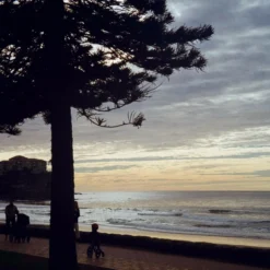 Pentax Espio 140M Point-and-shoot Camera Gift Set -Camera Store 020204510021 scaled