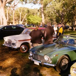 FILM TESTED Rollei 35T Film Camera -Camera Store 03008284 37 C 381f4a57 622c 4bc6 a34e 74540d13cf73 scaled