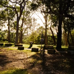 FILM TESTED Rollei 35 LED Film Camera -Camera Store 03008288 27 C scaled