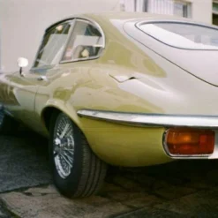 Fujica Auto 7 Film Camera -Camera Store 311055854 116500267883778 2434157621770176499 n